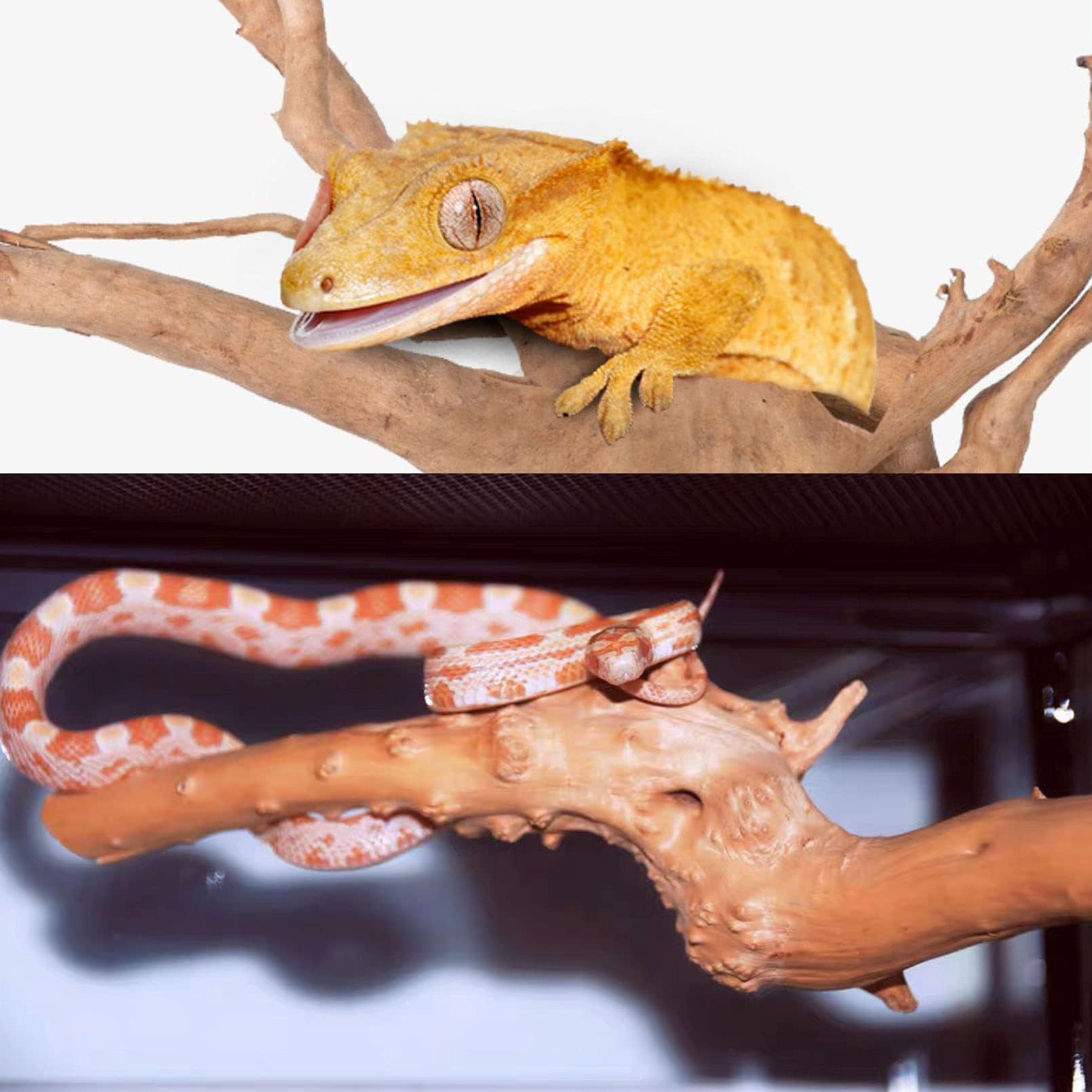 kathson bendable vine with leaves enhances aquarium ambiance and habitat realism.