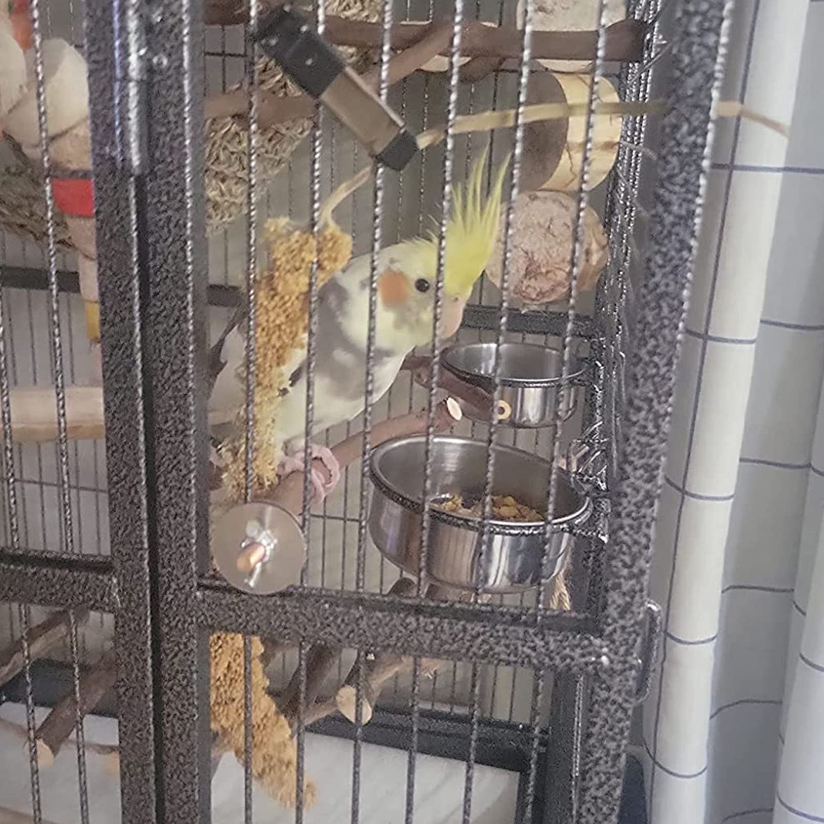 Kathson bird cage food dishes complete set offering organized feeding and spill containment.