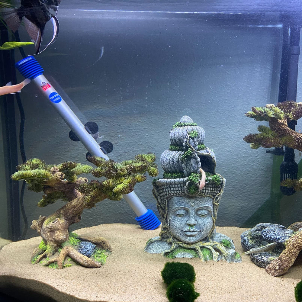 Kathson Buddha Head Aquarium Decor size 7.7x5.5x11.2 inches frames a centerpiece