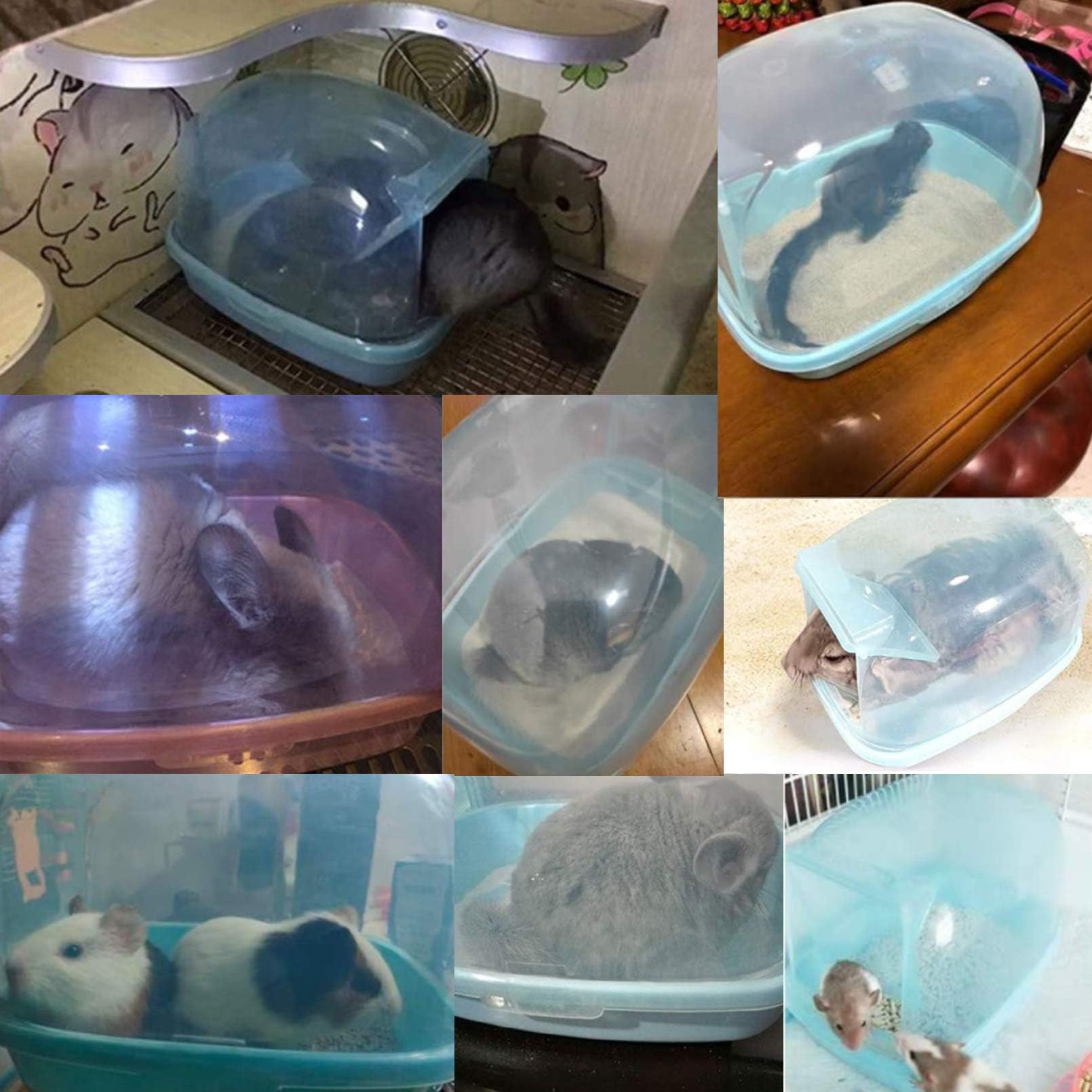 Kathson chinchilla sand bath container shows relaxation and fur cleaning during play.
