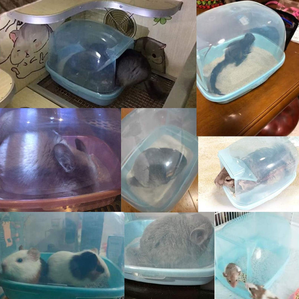 Kathson chinchilla sand bath container shows relaxation and fur cleaning during play.