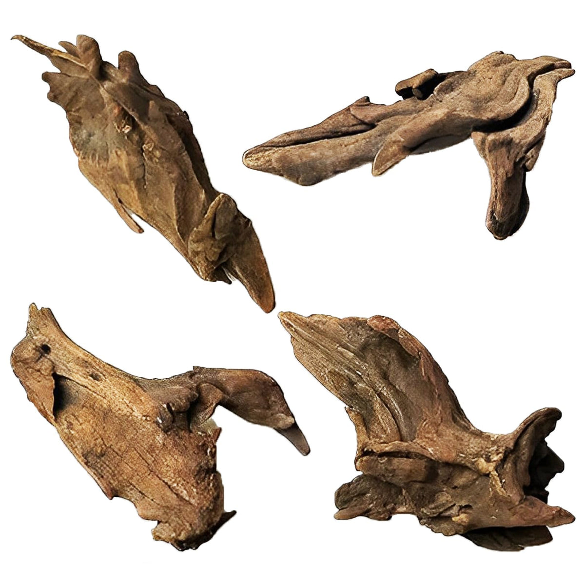 Kathson driftwood branches in an aquarium setup providing natural shelter and visual appeal.