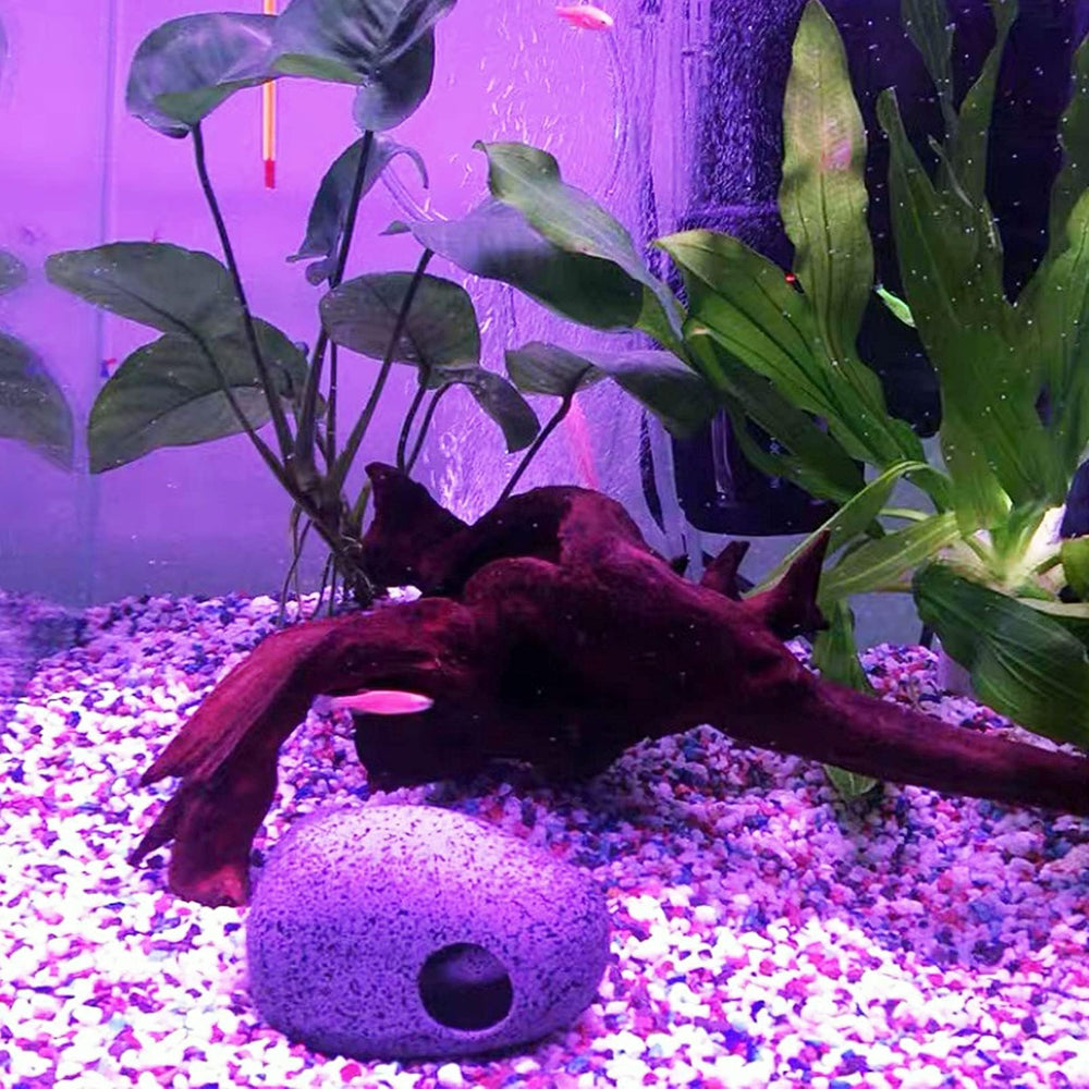 Kathson driftwood four-pack arrangement serving as shelter and hiding nook for small fish.