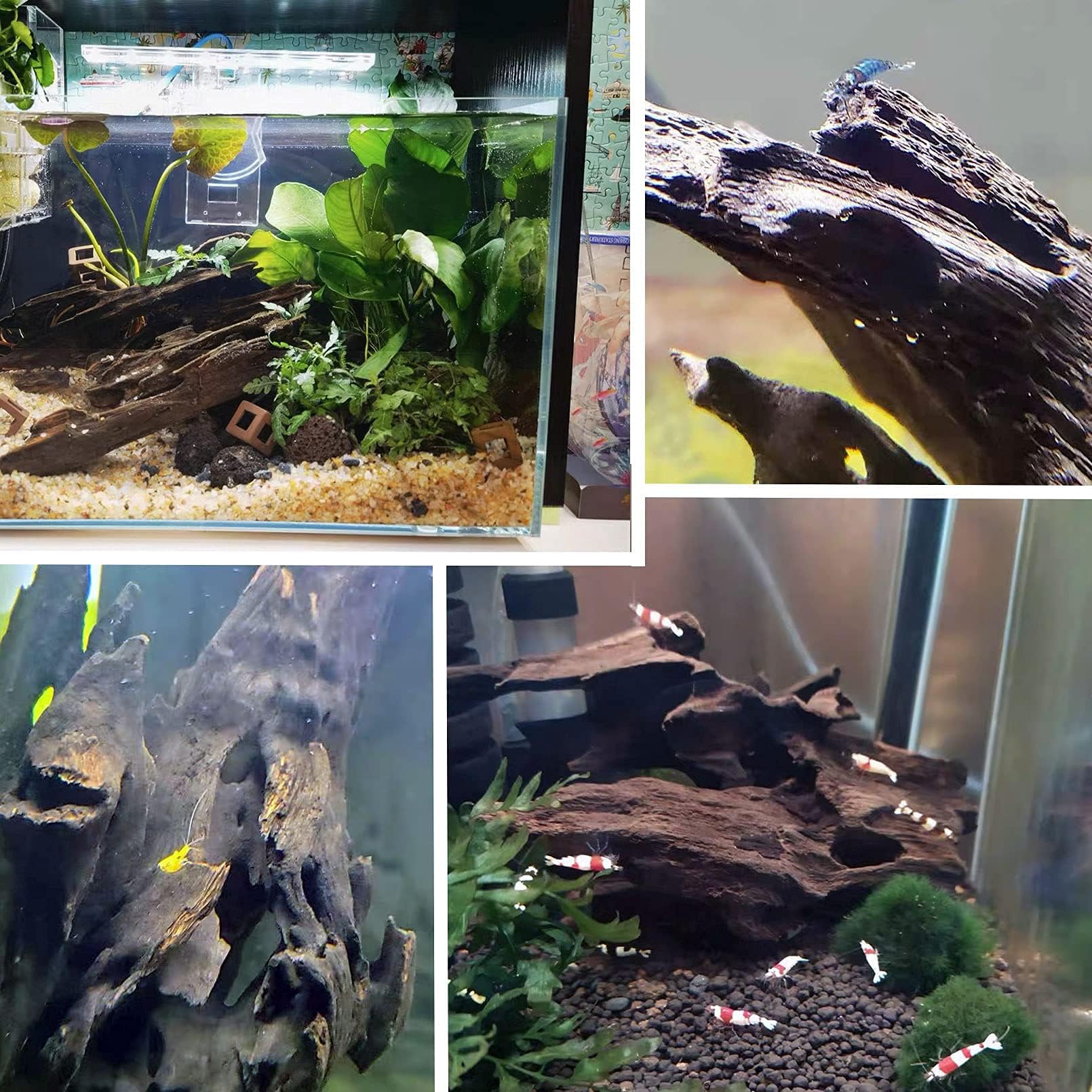 Kathson driftwood with cave-like holes for hiding in tanks