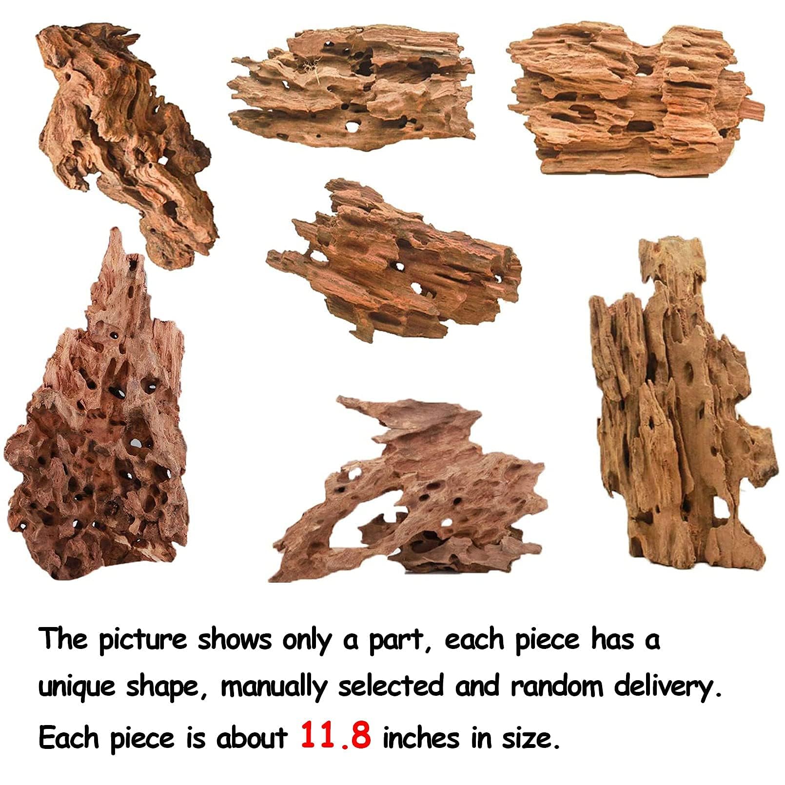 Kathson driftwood installation prep showing soaking and sinking readiness