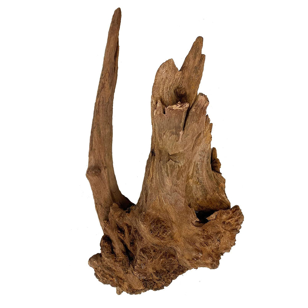 Kathson driftwood pack featuring assorted sizes to fit varied tank layouts and themes.
