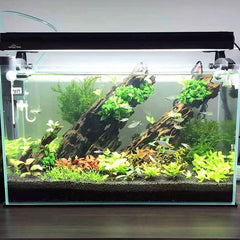 Kathson driftwood for reptiles sturdy branches ready for climbing habitats