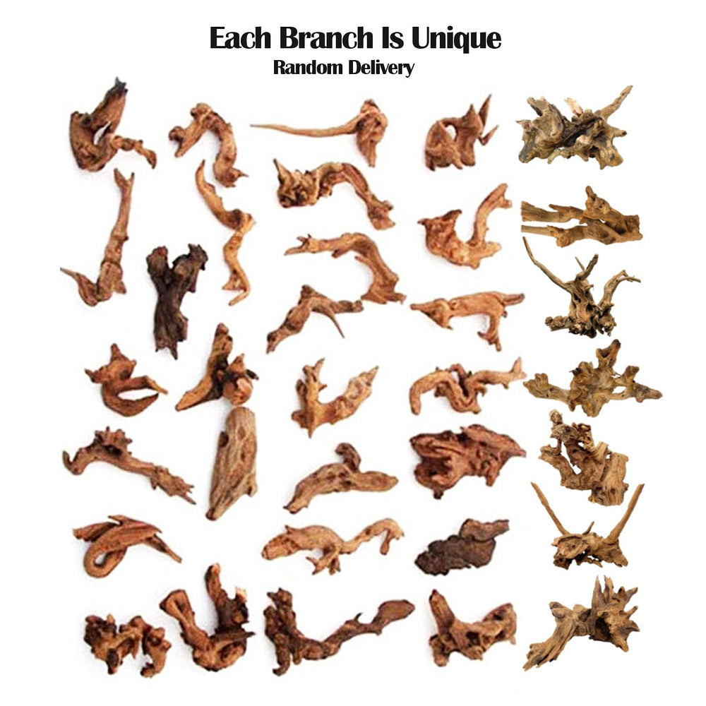 Kathson driftwood branch for terrarium climbing décor enhancing reptile habitat.