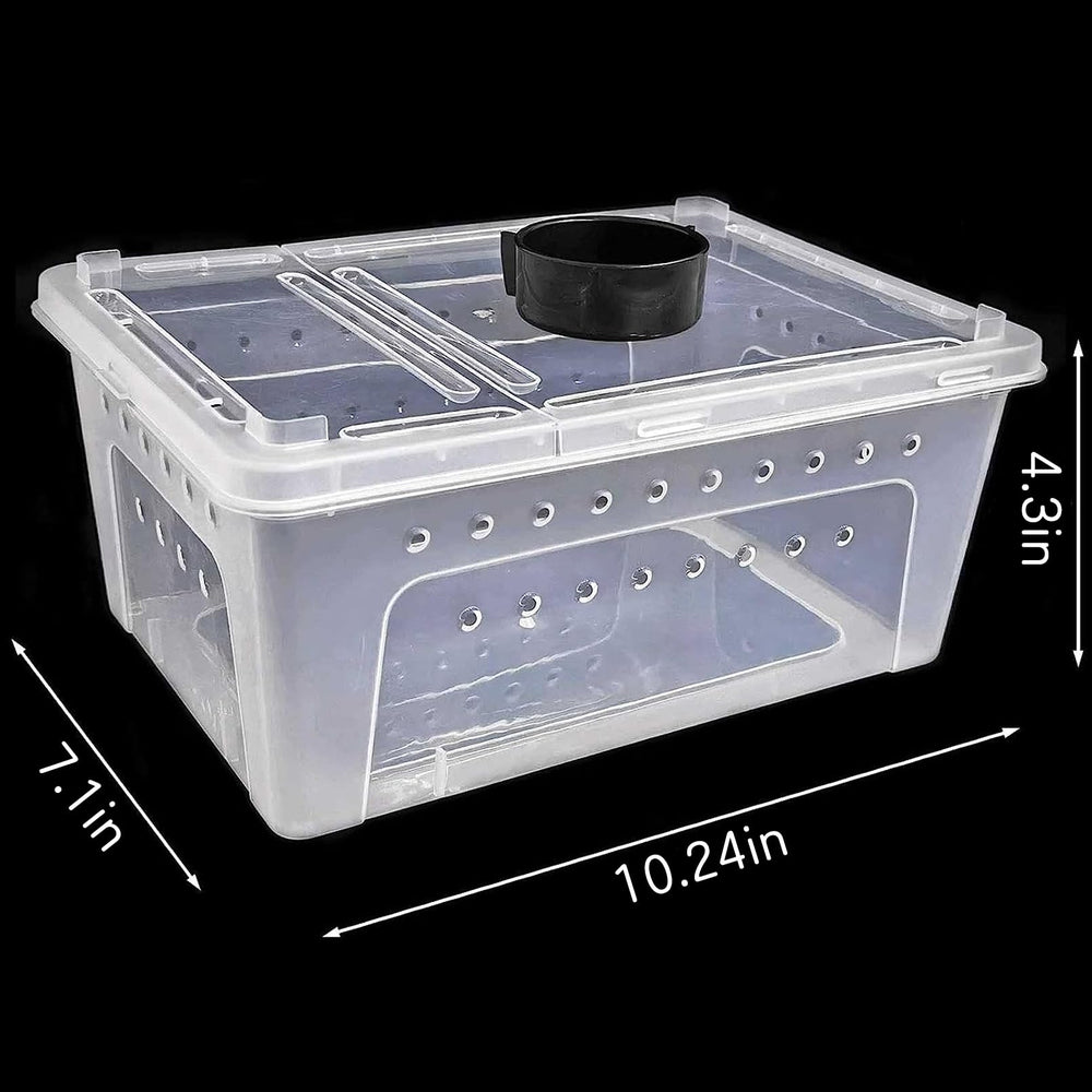 kathson fedbox food bowl inside supports simple supervised feeding