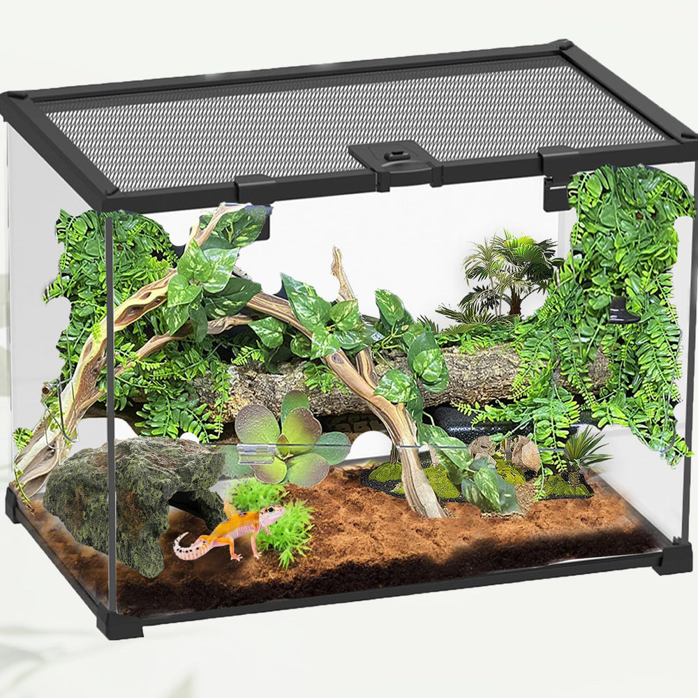 Kathson Gecko Hiding Cave provides secure retreat in the terrarium.