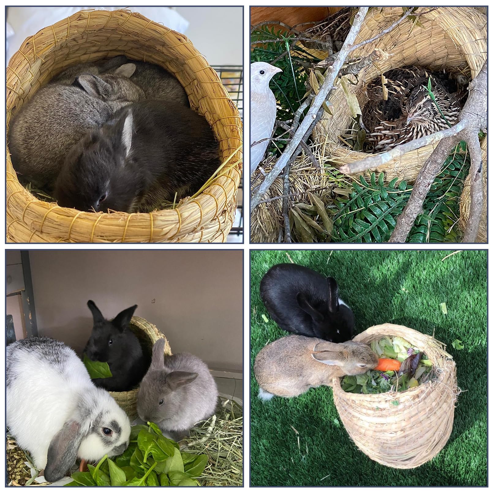 Kathson grass bed fragrance enhances cozy, calm pet relaxation.