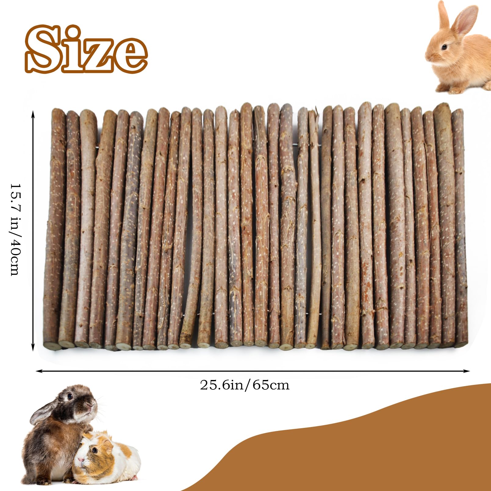 Kathson guinea pig ladder wood shows easy ramp access for climbing.