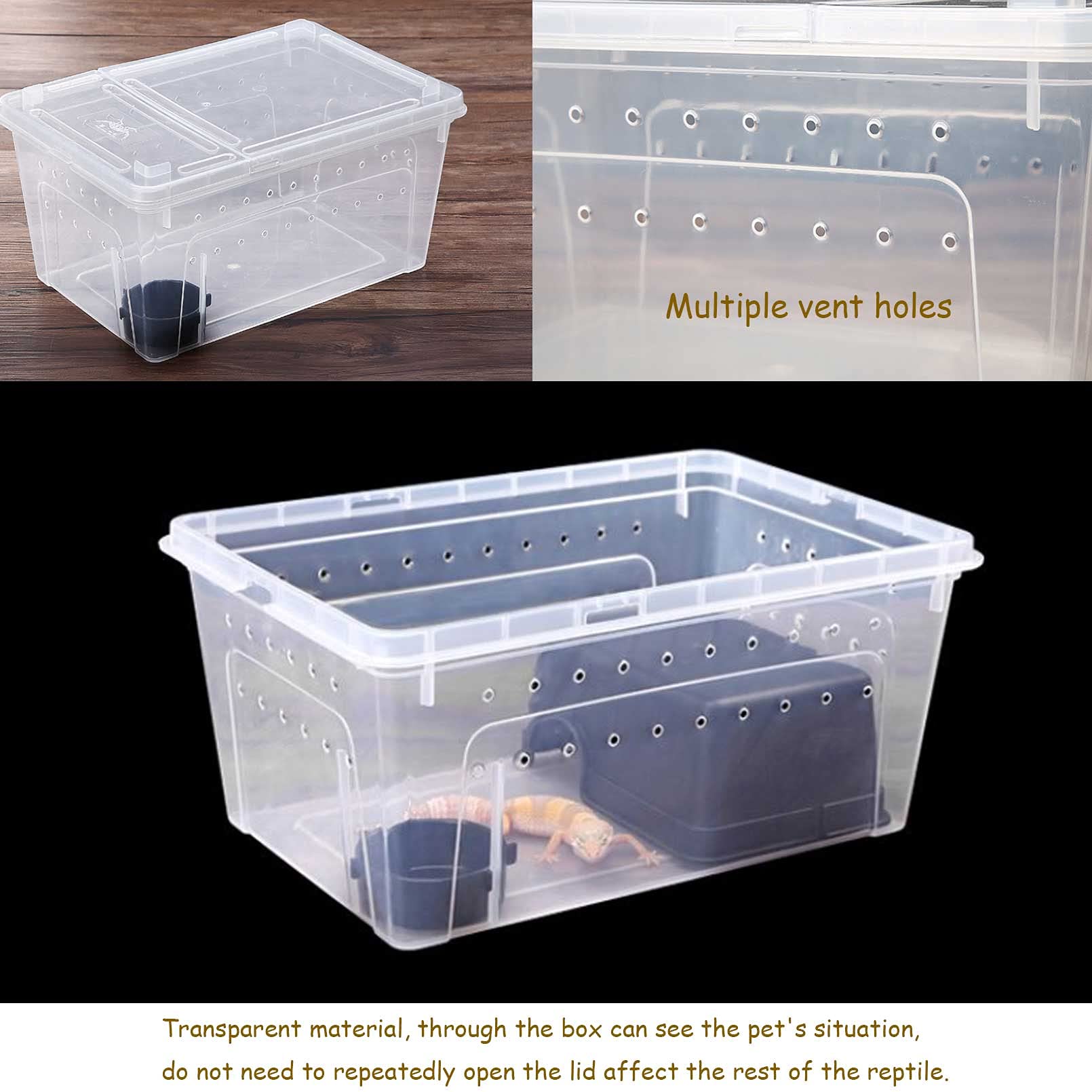 kathson hatching-container gecko tarantula safe temporary housing