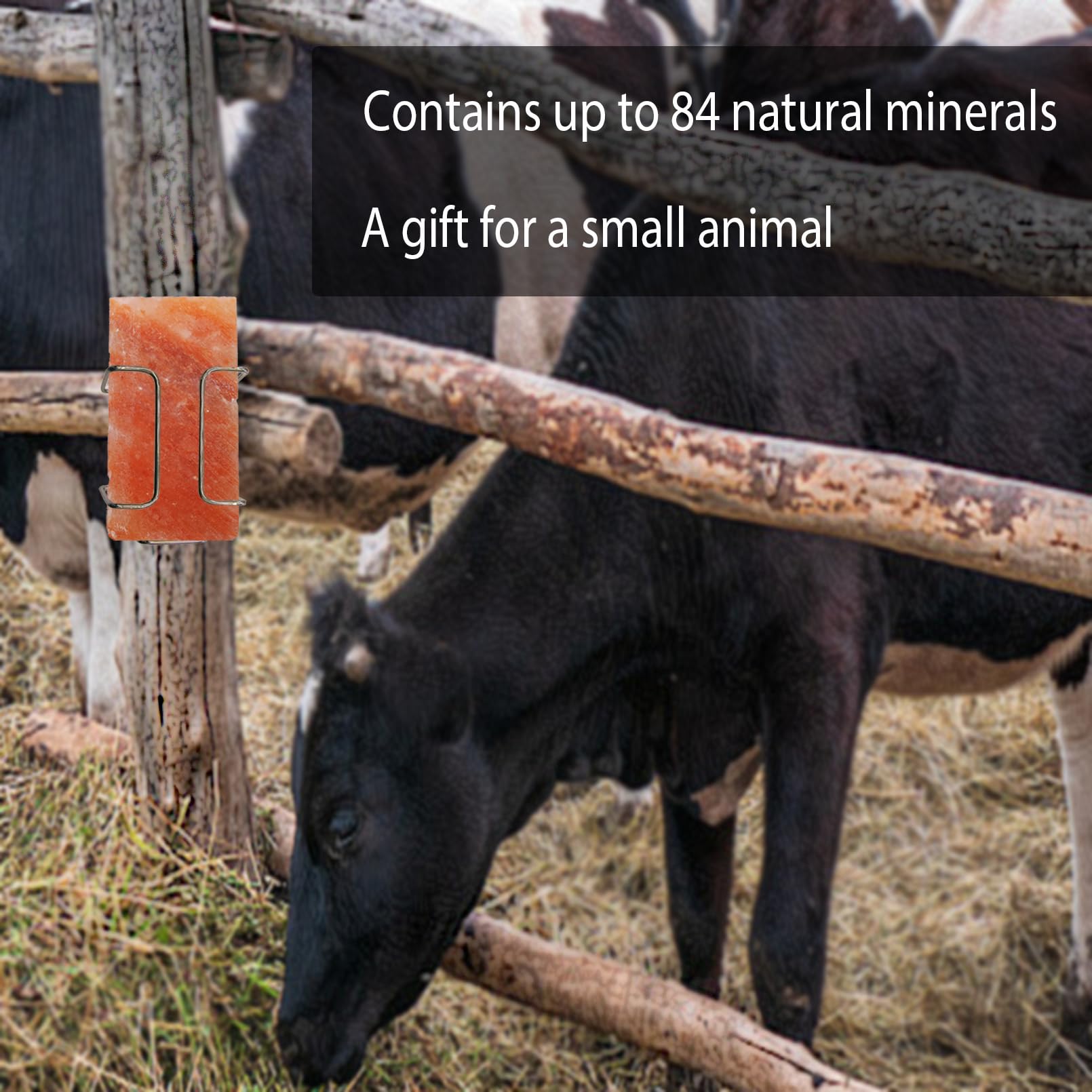 Kathson salt block shown in stable promoting hydration and nutrient intake for livestock.