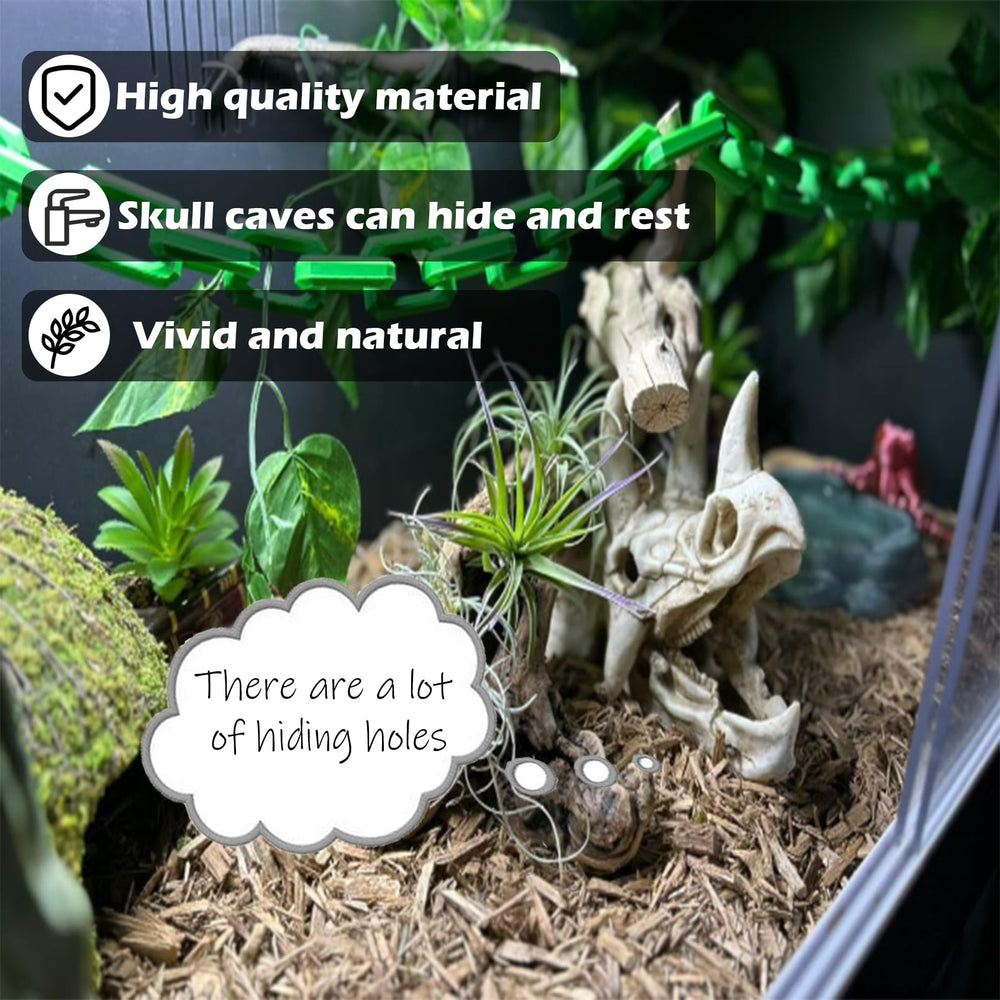 Kathson large leaves decor brightens tanks while providing cover.