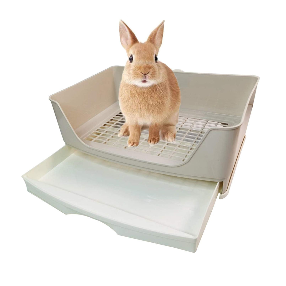 Kathson large rabbit litter box front view demonstrates spacious corner design for adult pets.
