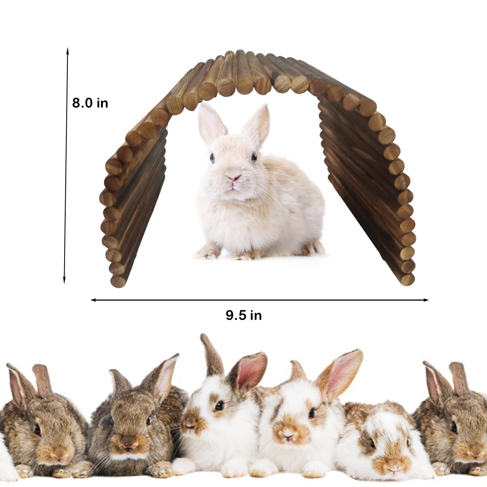 kathson large-rodent play bridge for climbing and exploration