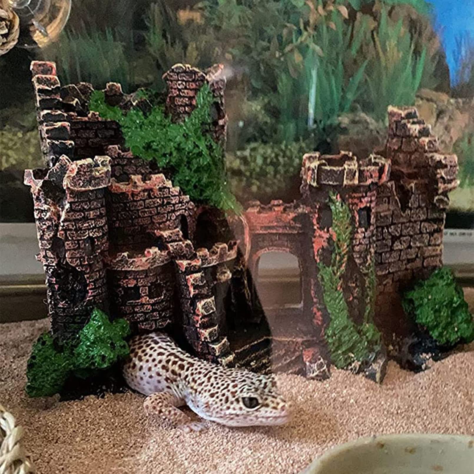 Kathson tank decor set supports multiple species with engaging habitat design.