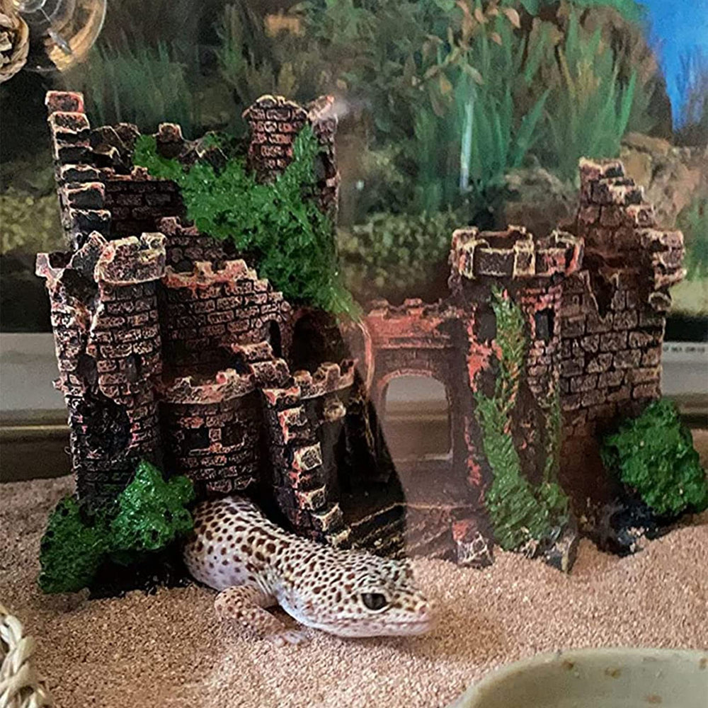 Kathson tank decor set supports multiple species with engaging habitat design.