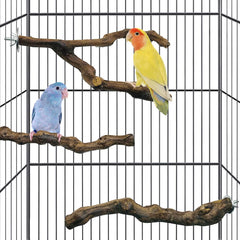 Kathson natural grapevine parrot perch branch close-up supports secure grip and playful climbing