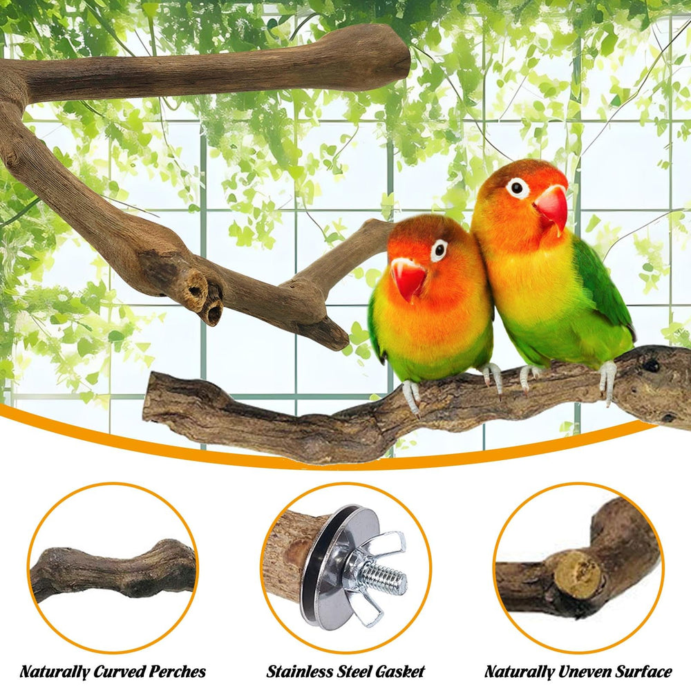 Kathson natural grapevine parrot perch in cage aids stimulation and playtime