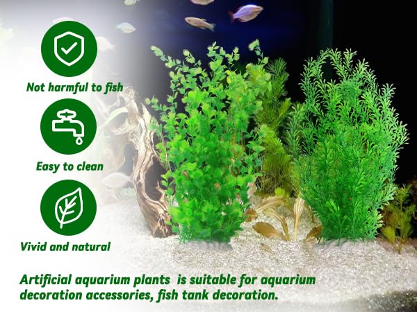 kathson provides natural hiding spots for fish among tall green plants.