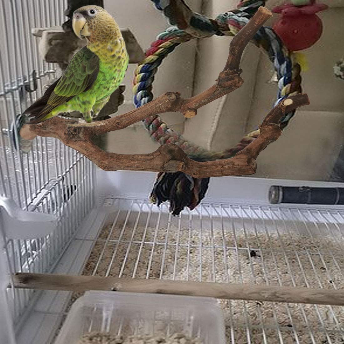 Kathson parrot perch being chewed safely with no paint