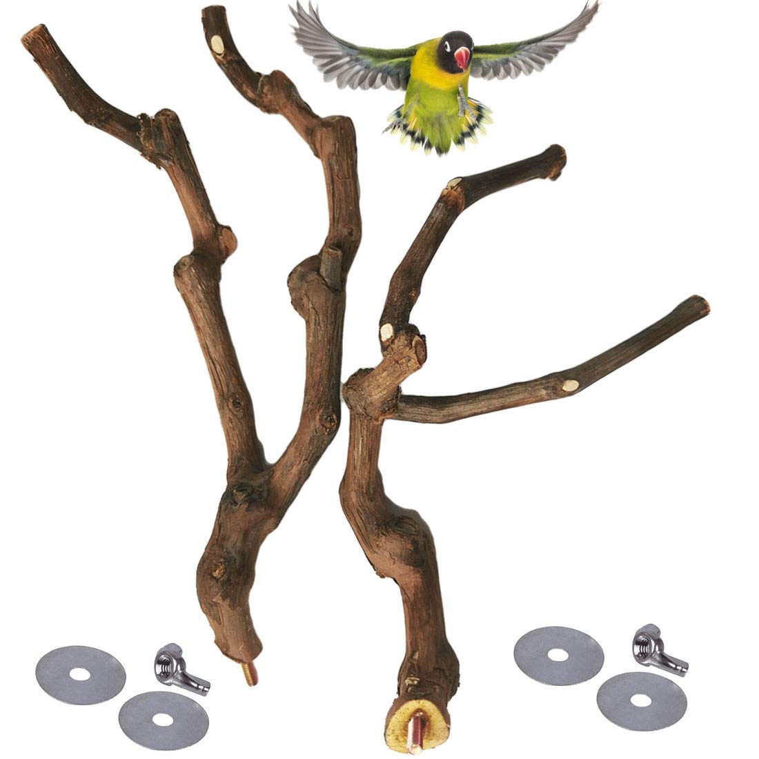 Kathson natural parrot perch 3pcs set for multiple cage placements