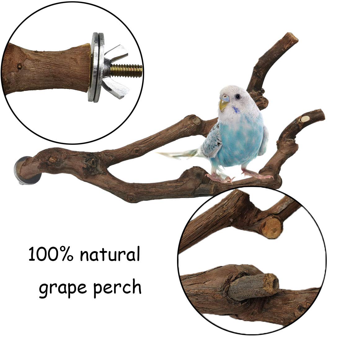 Kathson grapevine parrot perch installation demonstrates secure, tool-free mounting on a cage
