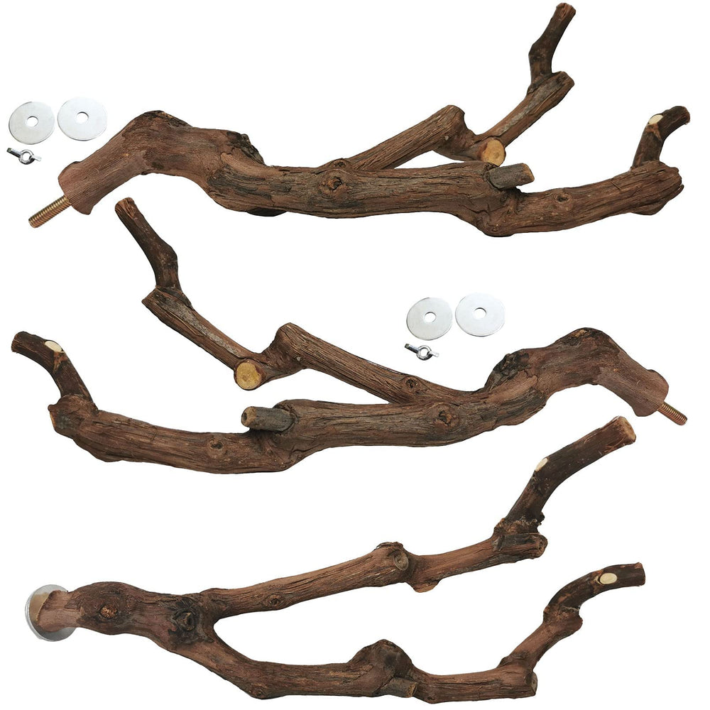 Kathson natural parrot perch grapevine packaging shows a 3-pack setup for versatile cage placement