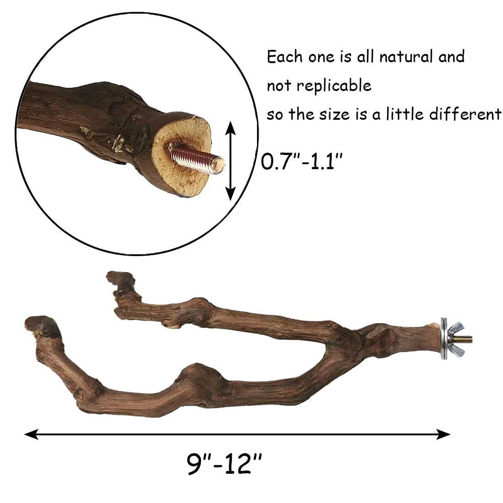 Kathson parrot perch grapevine branch with natural diameter variation for varied foot exercise