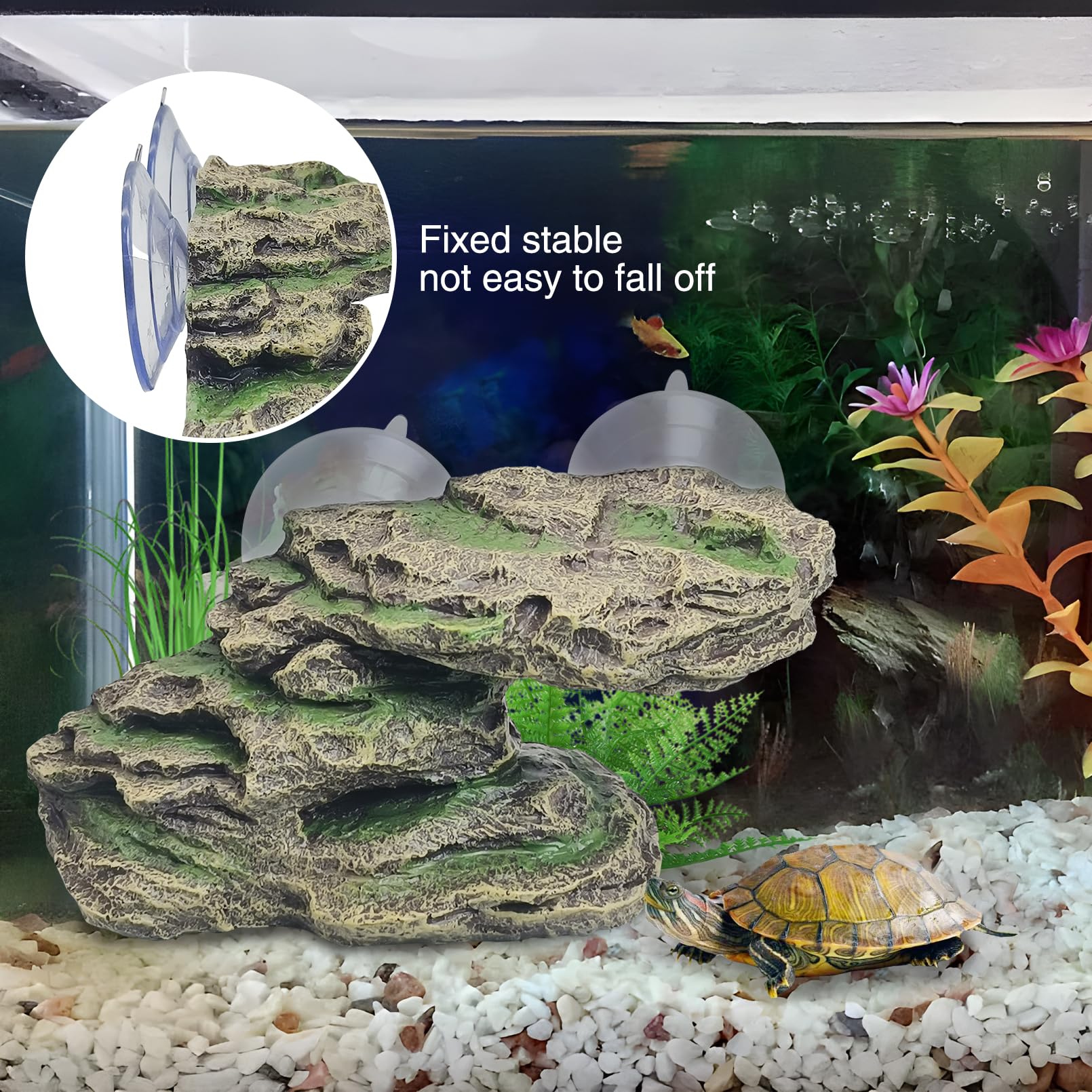 Kathson natural rock appearance platform blends with habitat and enhances realism.