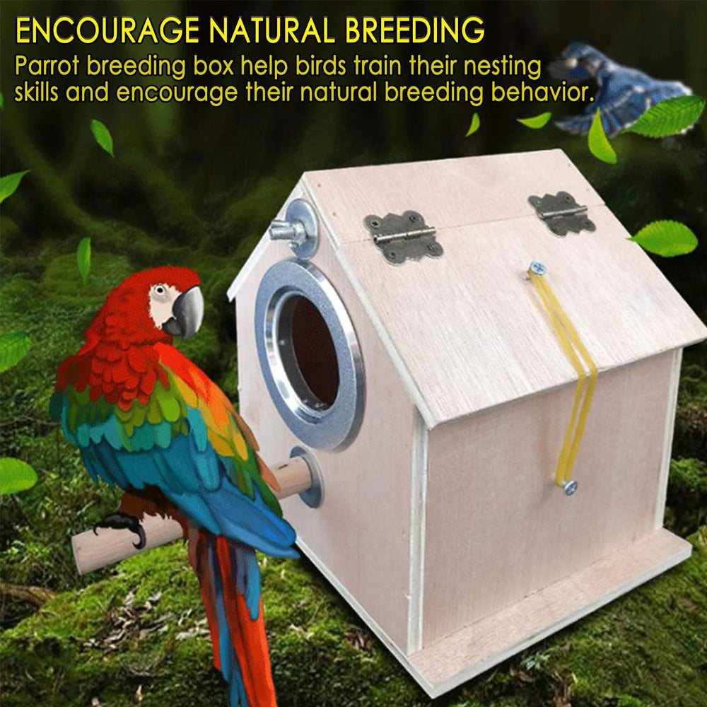 Kathson parakeet nest box hole detail highlights burr-free edges for bird safety