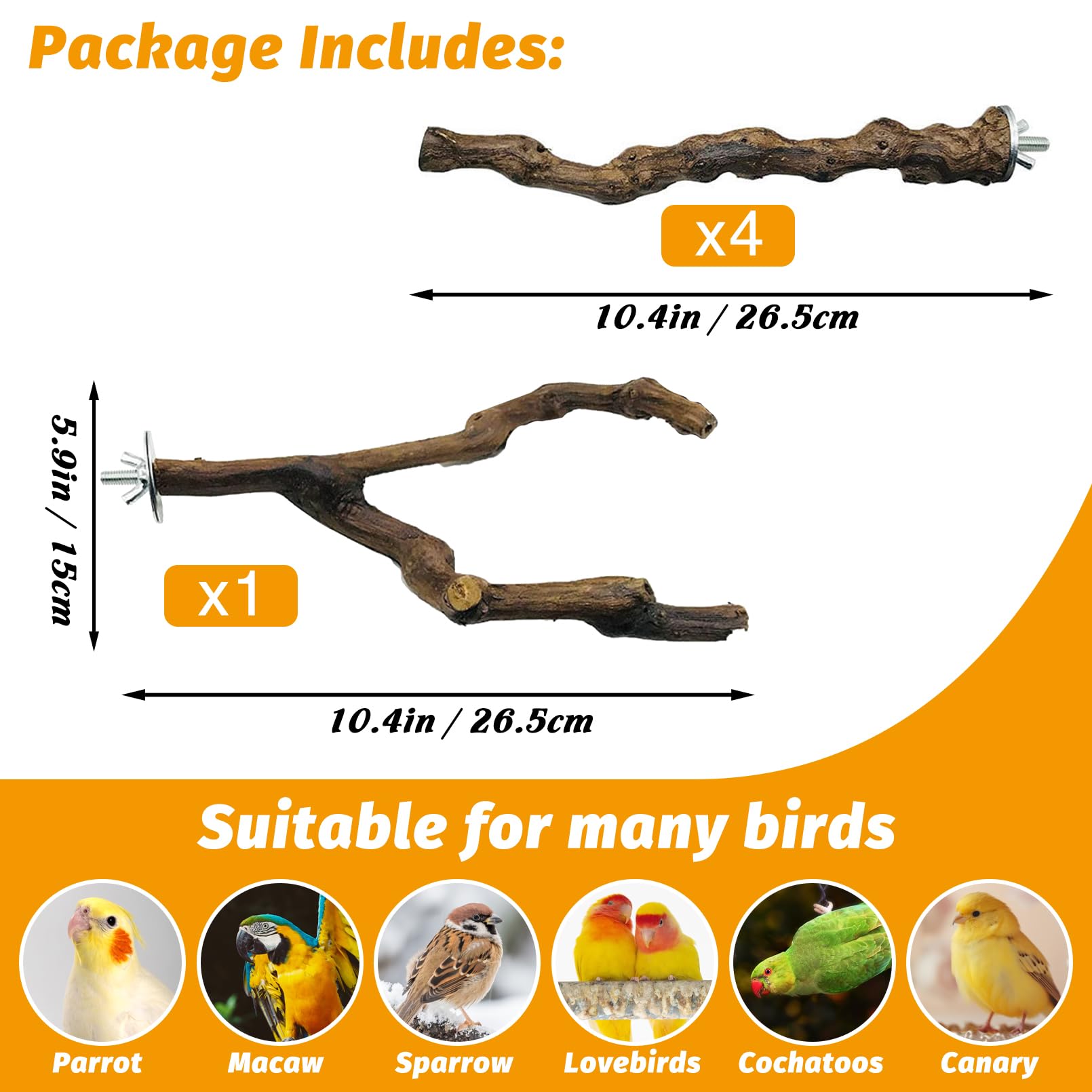 Kathson parrot perch bifurcation branch supports varied grip and playful exploration.
