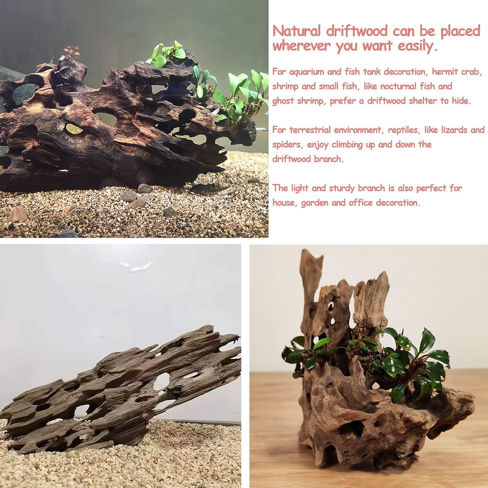 Kathson porous driftwood supports safe habitat enrichment for fish
