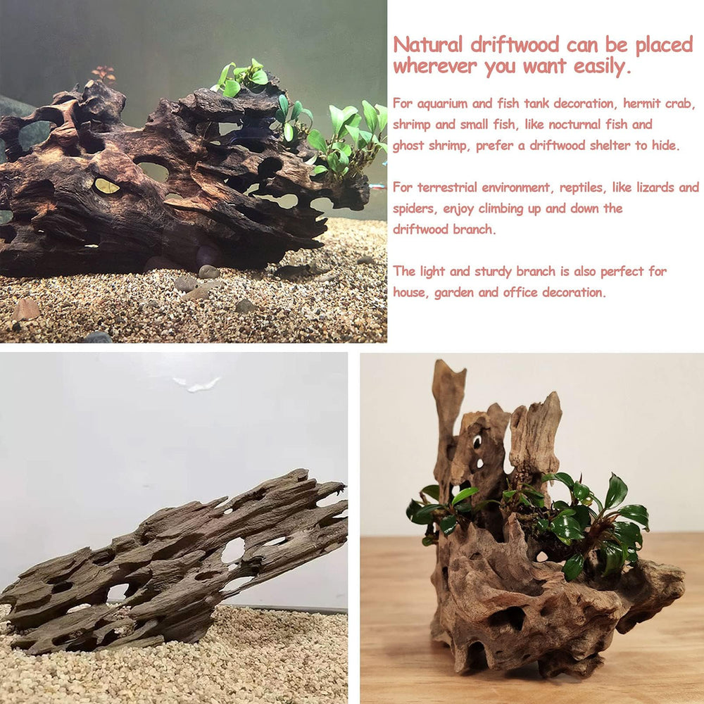 Kathson porous driftwood supports safe habitat enrichment for fish