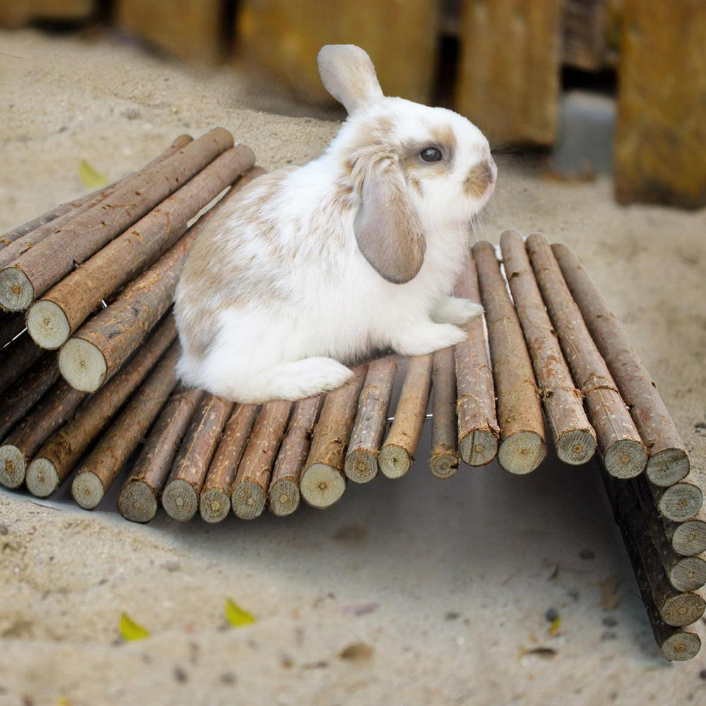 Kathson rabbit-hideout-play-area captures enrichment during supervised play.