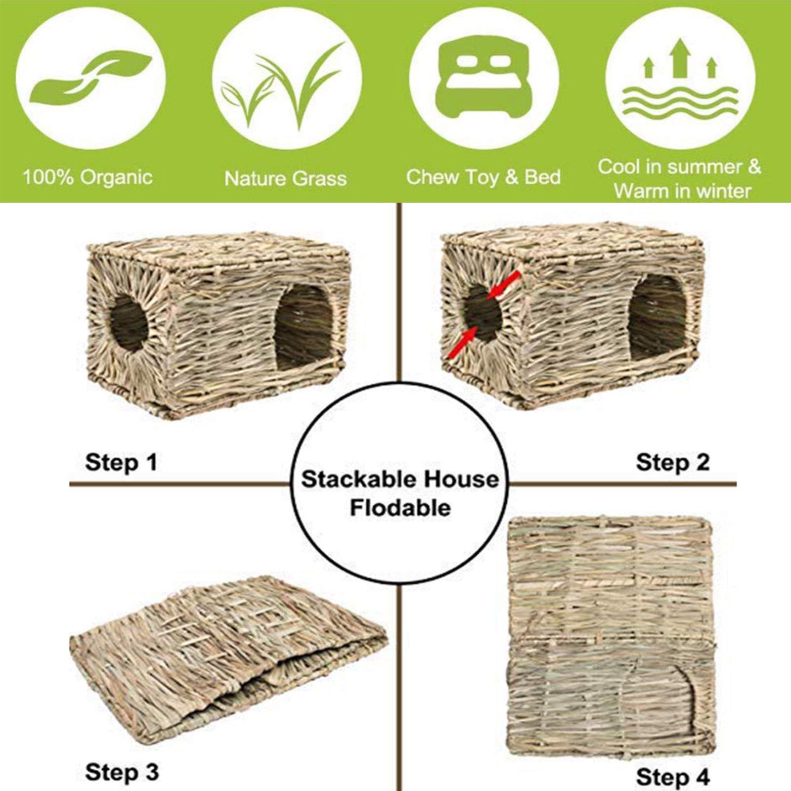 kathson nest exploration scene grass house sparks burrowing play