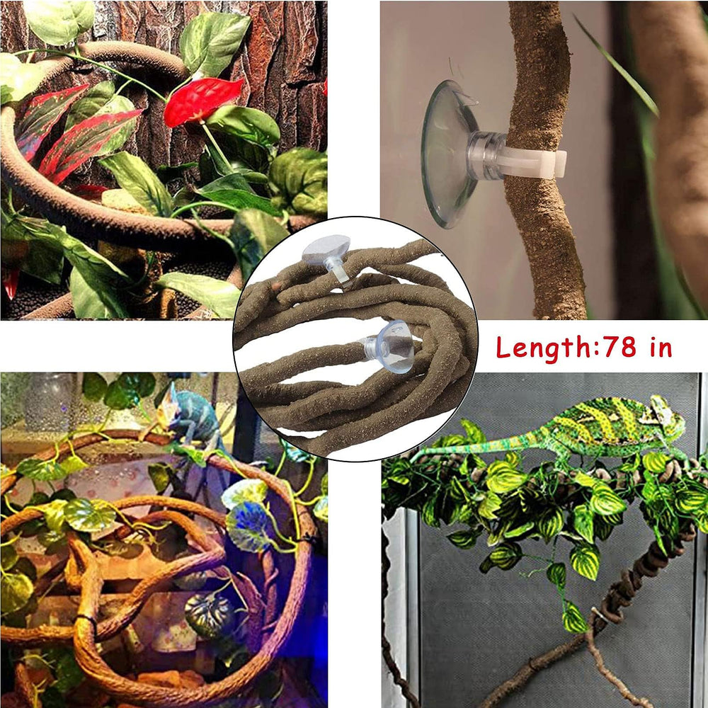 kathson reptile habitat setup demonstrates versatile decor for bearded dragons and lizards.