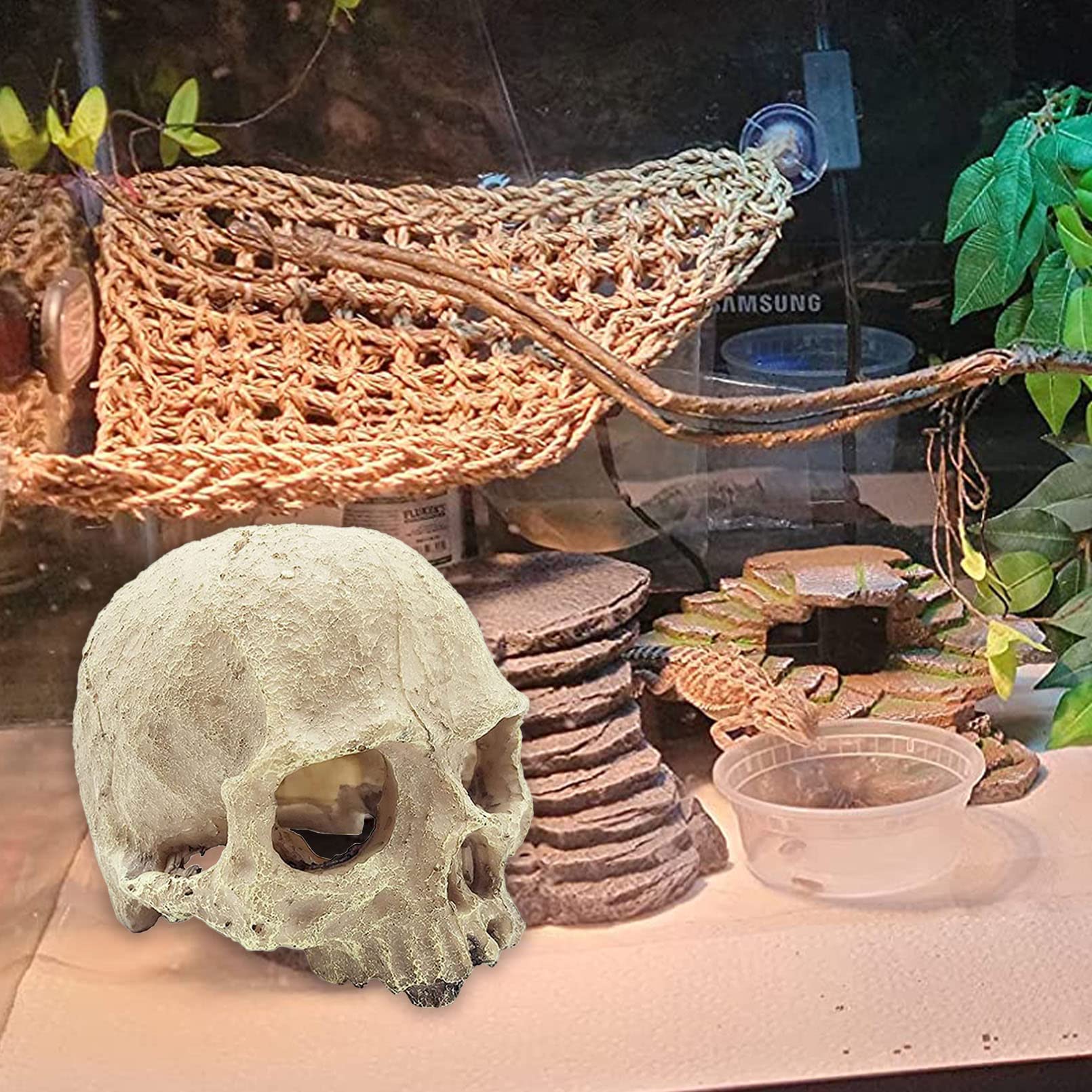 Kathson resin skull detail enhances tank aesthetics while offering climbing prompts.