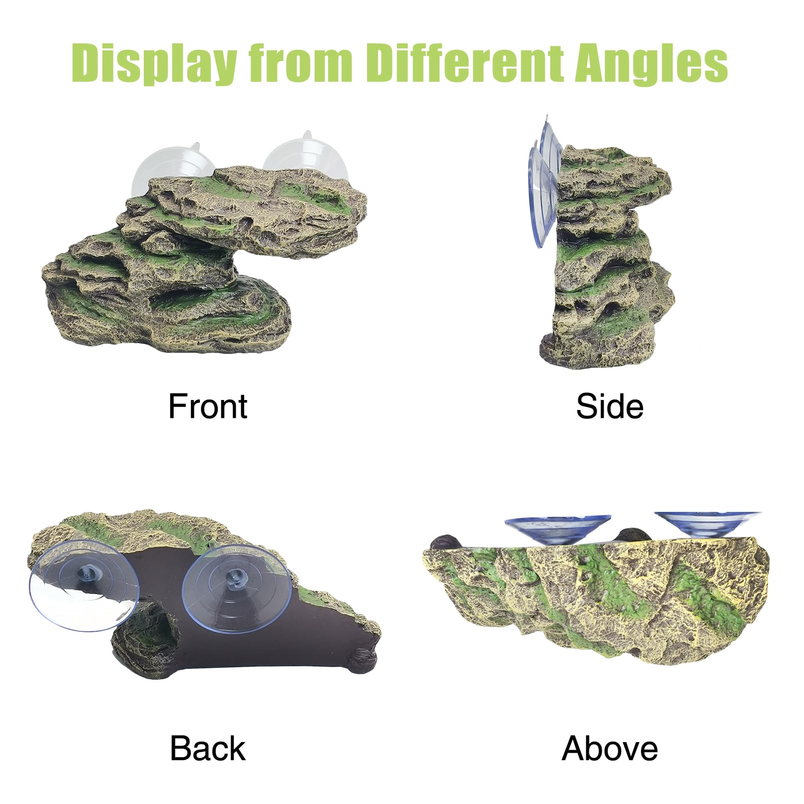 Kathson size-guide turtle basking rock shows choosing the right fit for pets.