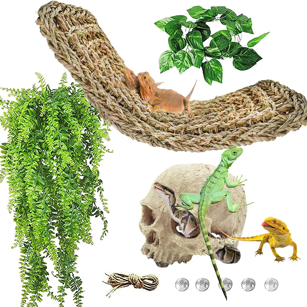 Kathson skull decor habitat provides natural hiding spots for reptiles