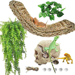 Kathson skull decor habitat provides natural hiding spots for reptiles