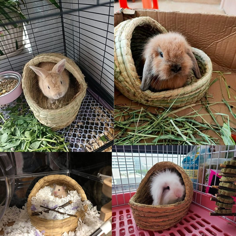 Kathson enrichment for small animals supports imaginative play and exploration.