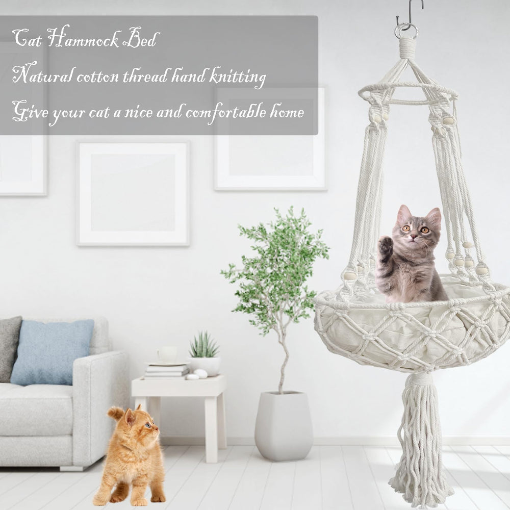 Kathson soft cushion close-up emphasizes plush comfort for lounging cats.