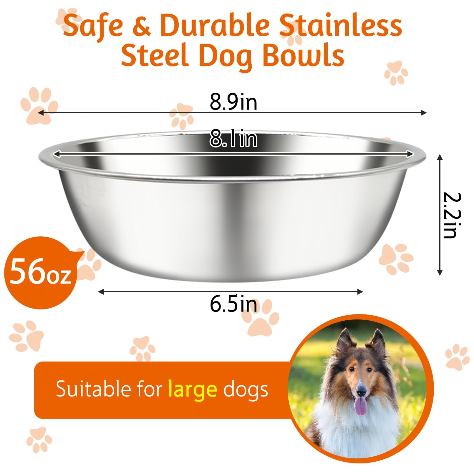 Kathson stainless-steel dog bowls closeup highlights rust-free, odorless durability.