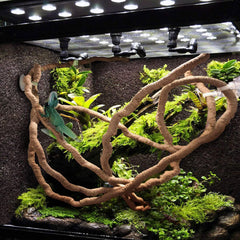 kathson suction cups secure decor in place for safe mounting.