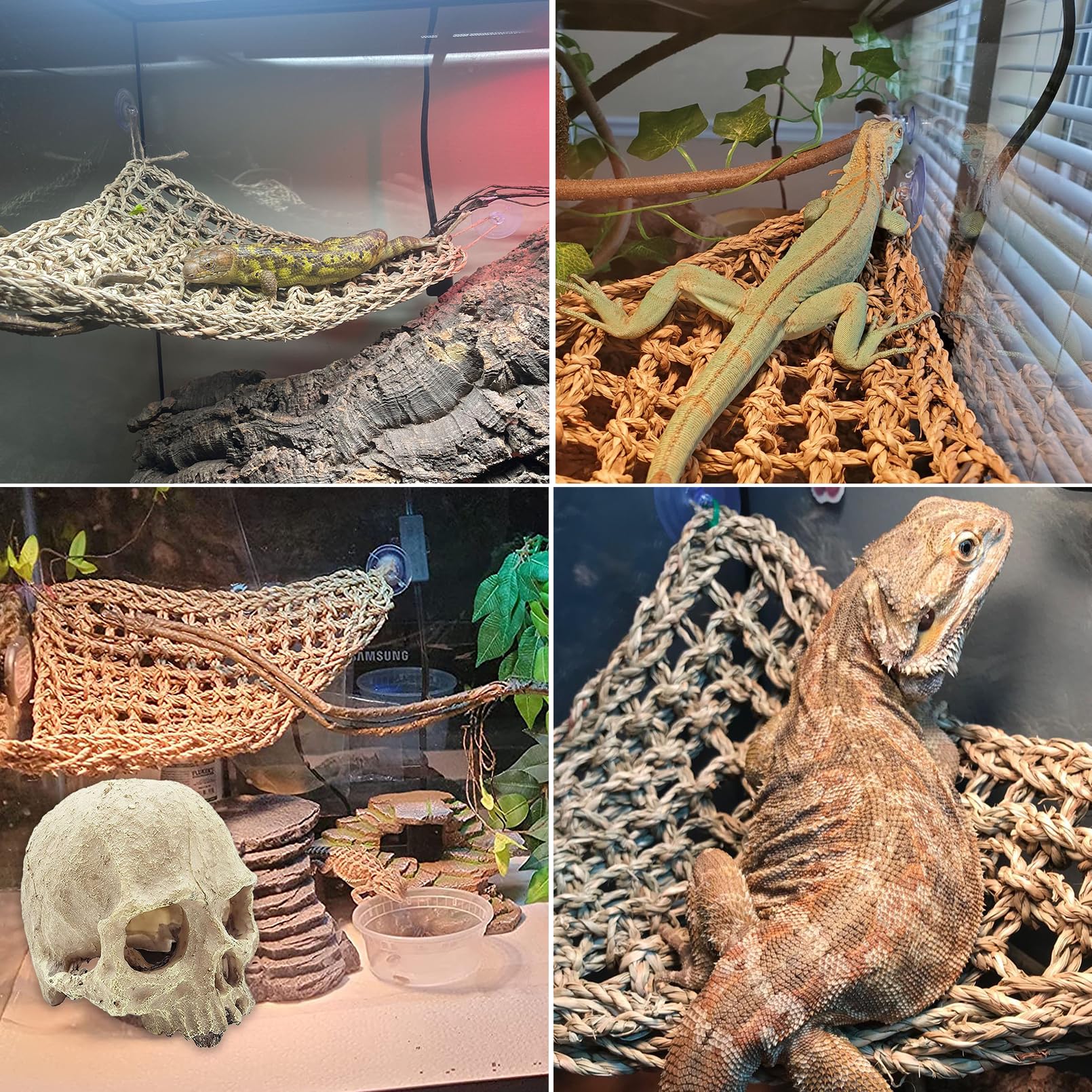 Kathson terrarium decor assembly creates immersive habitat with natural textures.