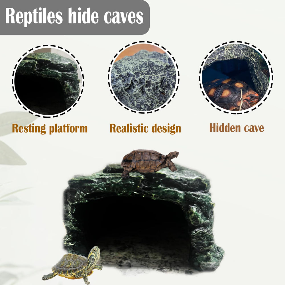 Kathson Terrarium Green Plant Decoration Habitat adds natural aesthetics and hiding spots.