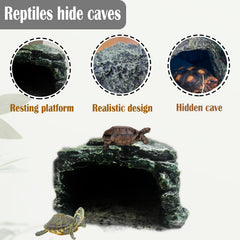 Kathson Terrarium Green Plant Decoration Habitat adds natural aesthetics and hiding spots.